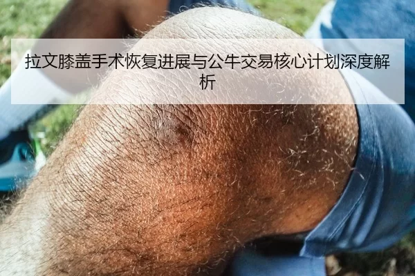 拉文膝盖手术恢复进展与公牛交易核心计划深度解析
