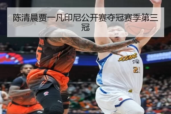 陈清晨贾一凡印尼公开赛夺冠赛季第三冠