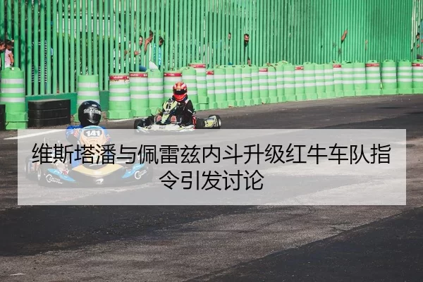 wei-si-ta-pan-yu-pei-lei-zi-nei-dou-sheng-ji-hong-niu-che-dui-zhi-ling-yin-fa-tao-lun-2-209.jpg